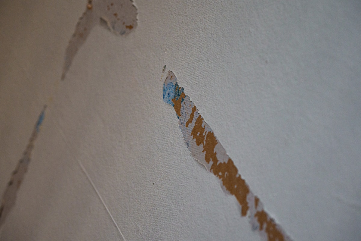 Water Extraction service in El Cajon, CA